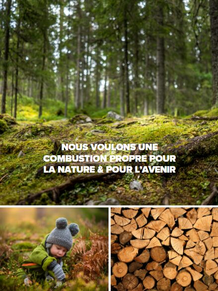 Illustration du contenu